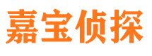 连南寻人公司